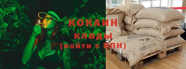 тгк Абаза