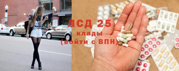 PSILOCYBIN Абинск