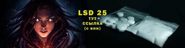 PSILOCYBIN Абинск