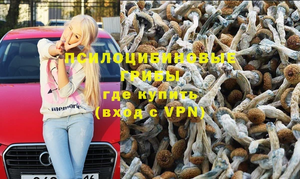 a pvp Алзамай