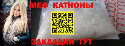 мдпв Кингисепп