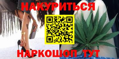 мдпв Кингисепп