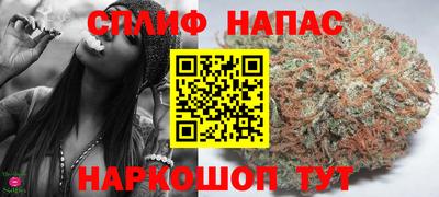 дмт Кинель