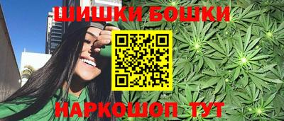 мдпв Кингисепп