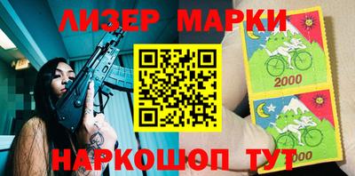 мдпв Кингисепп