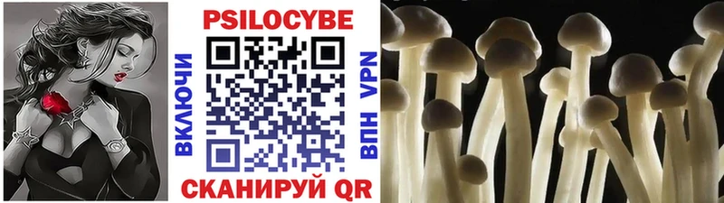 Галлюциногенные грибы прущие грибы  купить закладку  Лосино-Петровский 