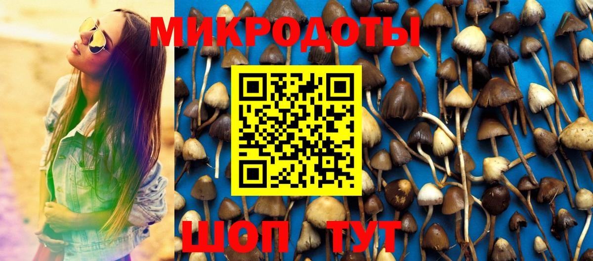 Лосино-Петровский  Галлюциногенные грибы Psilocybe  Галлюциногенные грибы GOLDEN TEACHER  Вход с VPN 